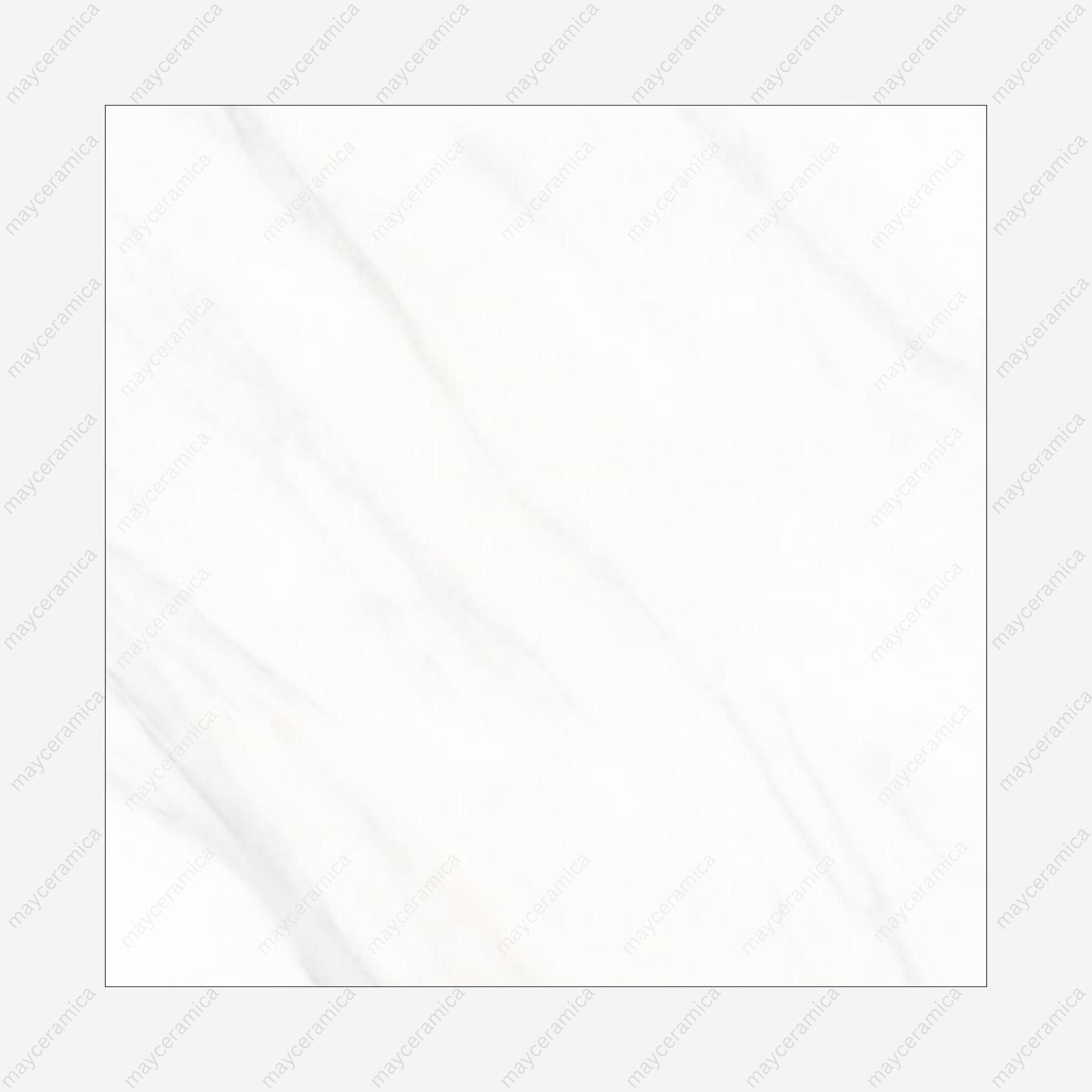 Calacutta Aurora - Image 4