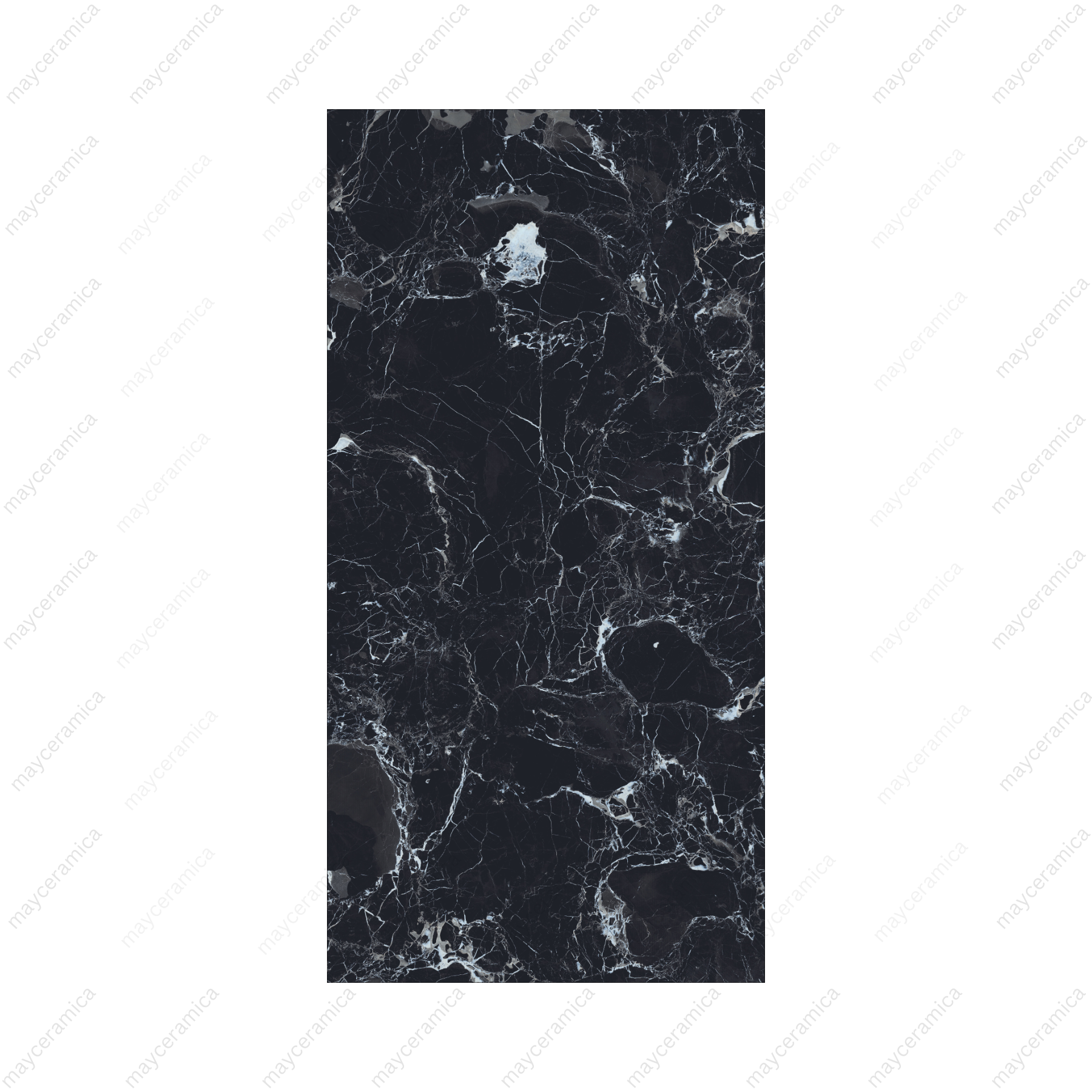 Dino Black - Image 2