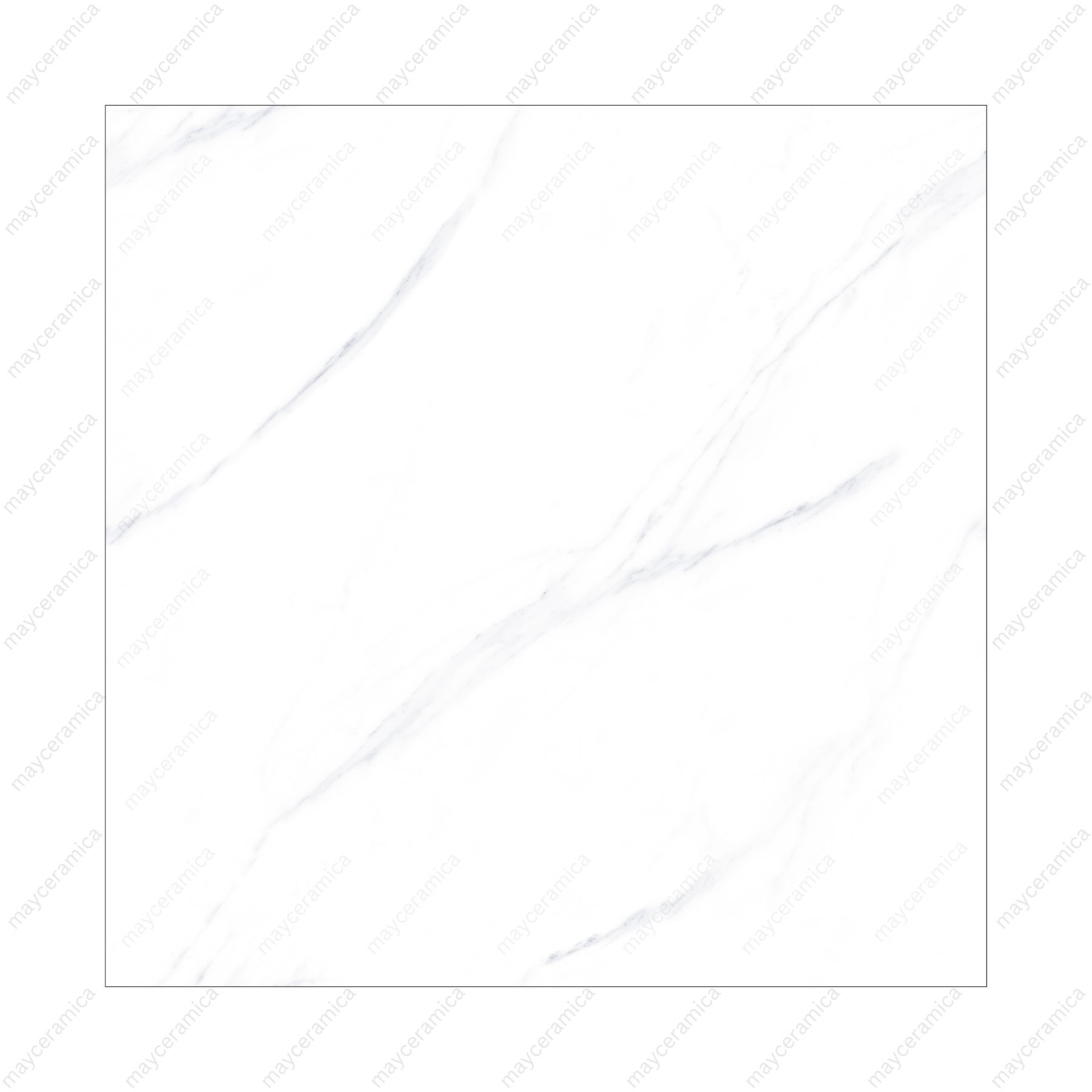 Elite White - Image 2