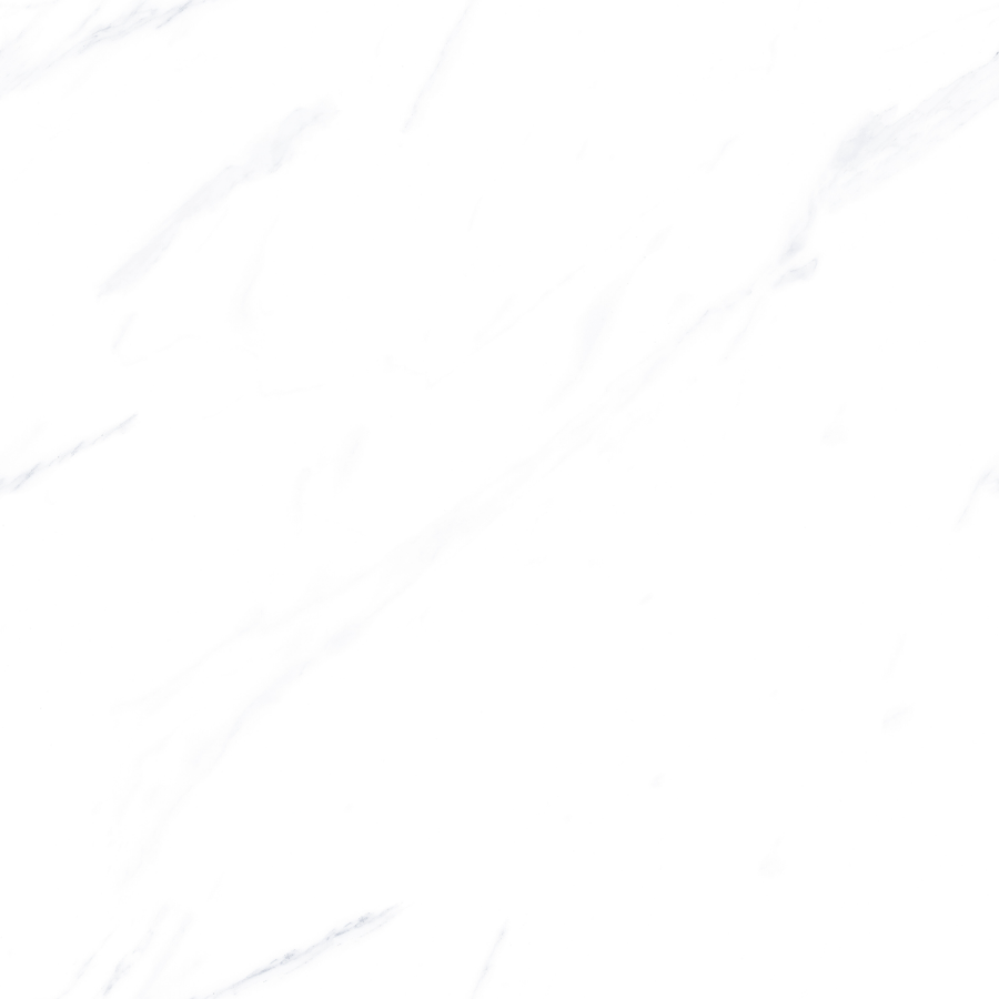 Elite White - Image 4