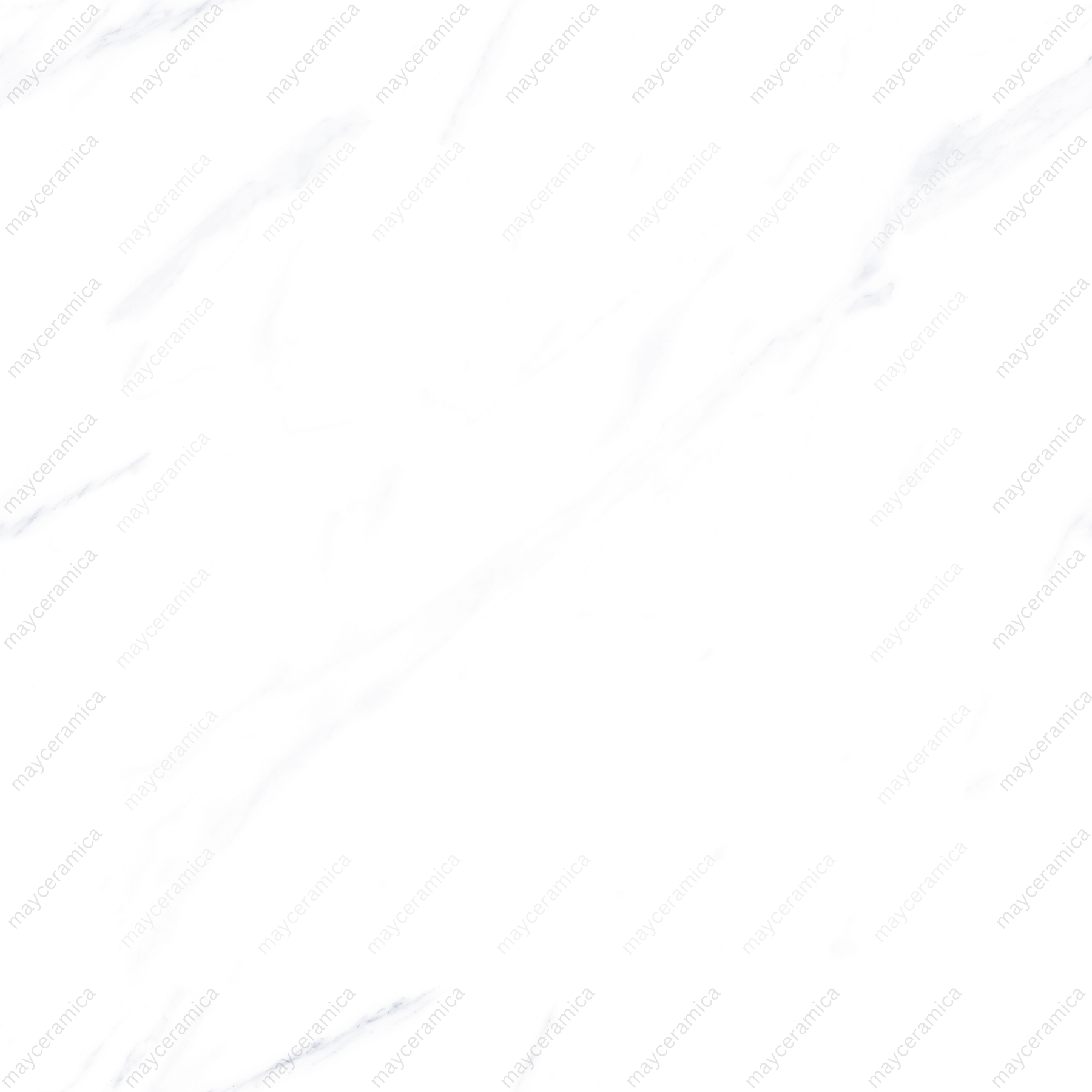 Elite White - Image 4