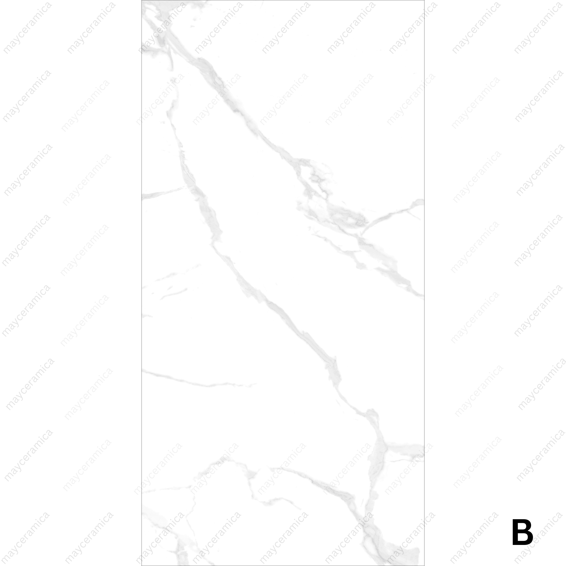 Lexus White - Image 3