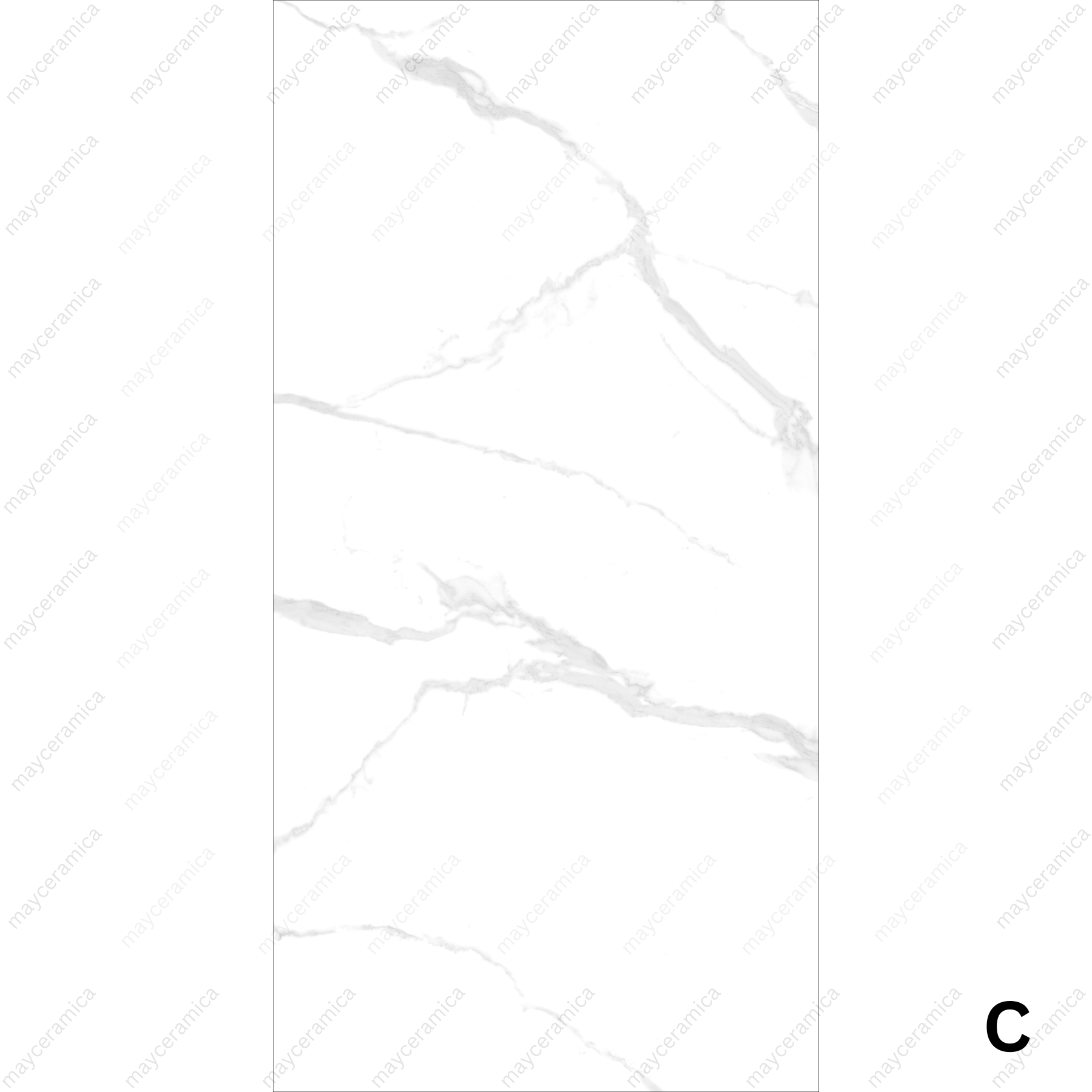 Lexus White - Image 2