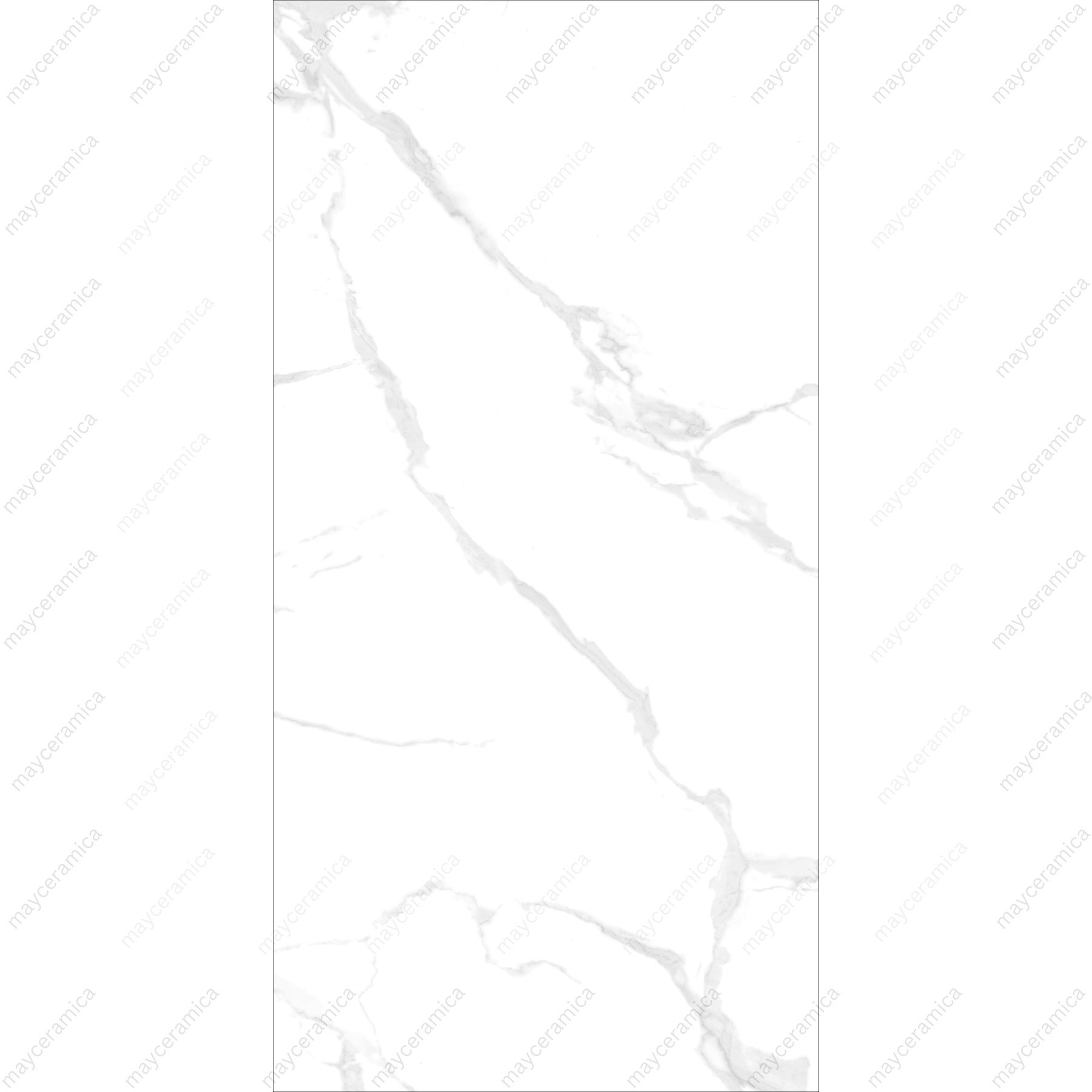 Lexus White Dark - Image 2