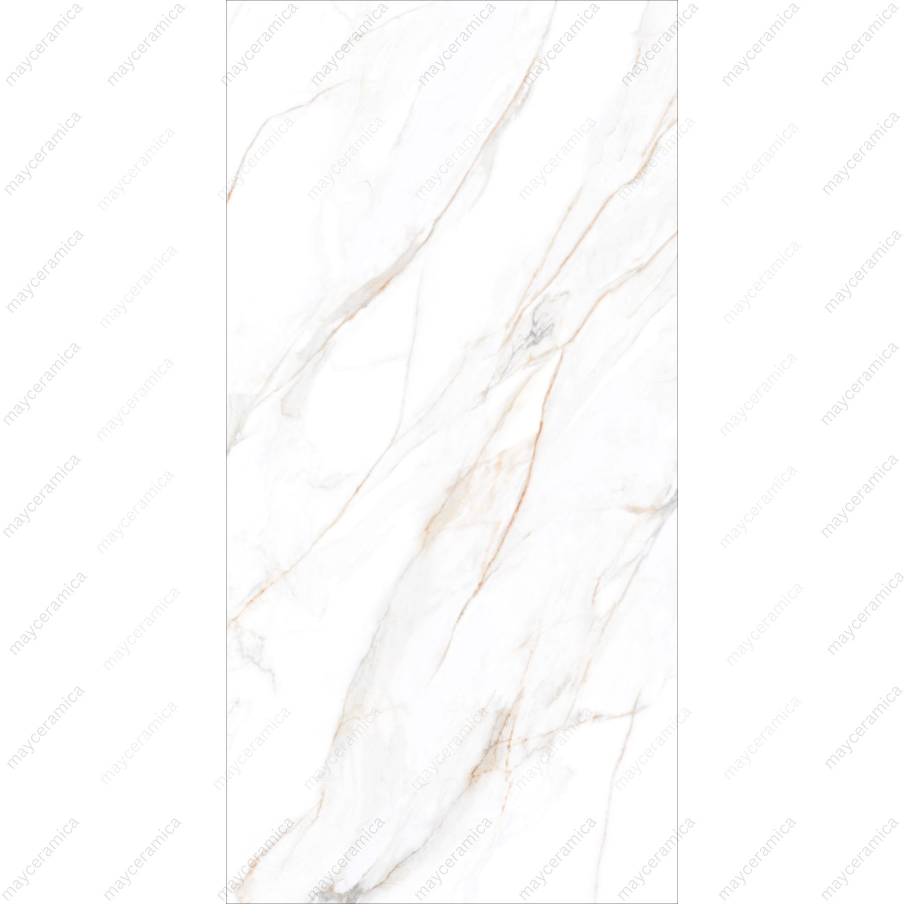 Regel Bellaza - Image 2