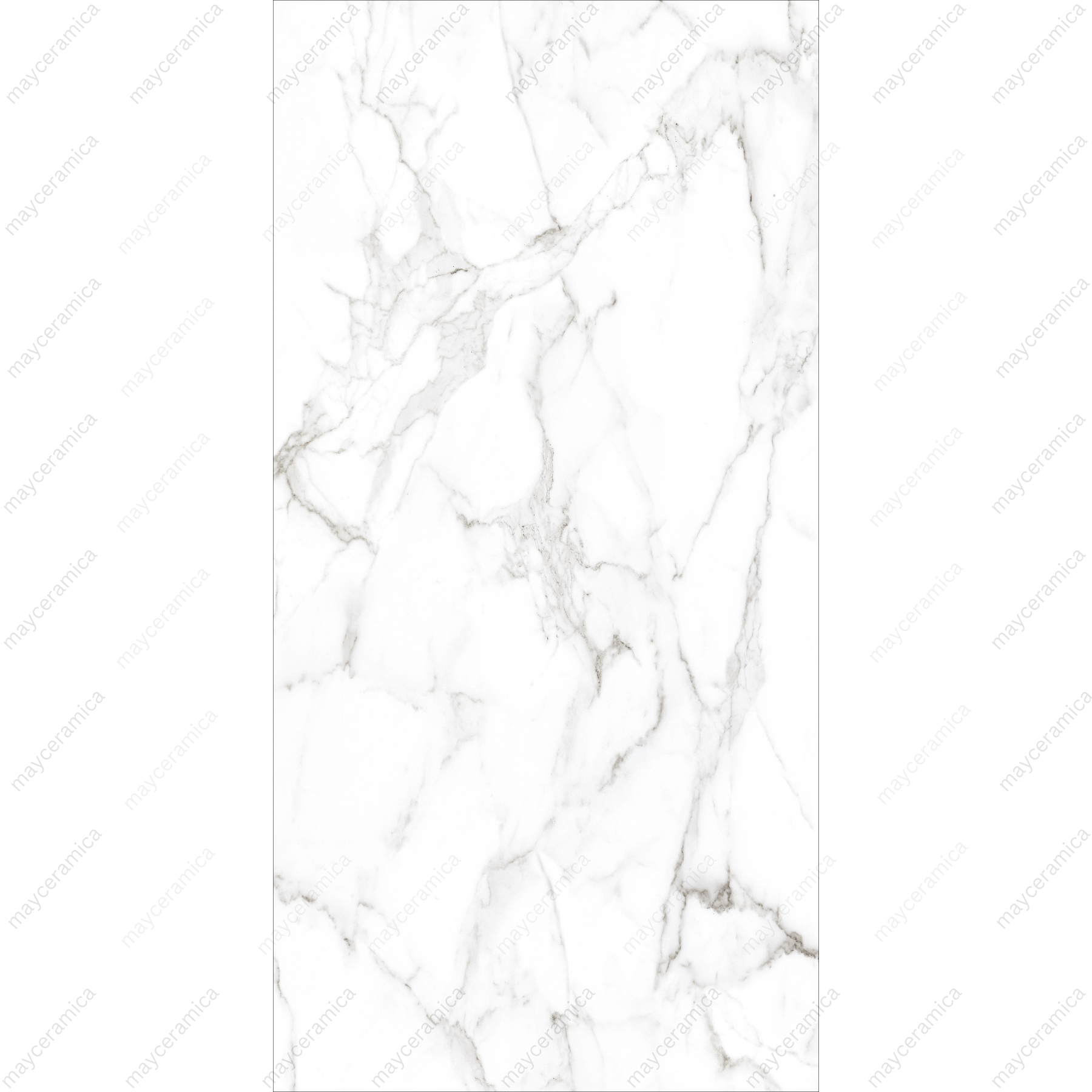 Statuario Marble - Image 2