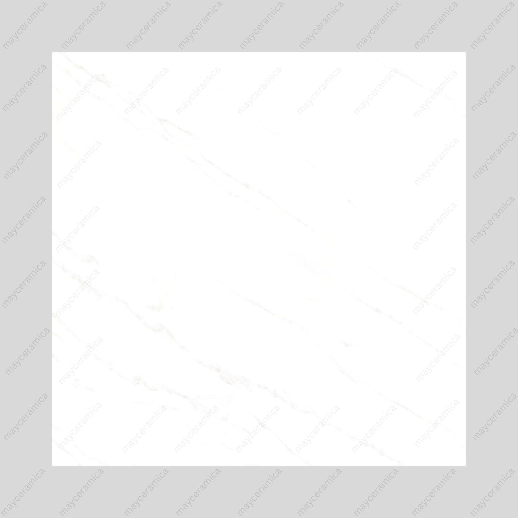 Arena Shine - Image 2