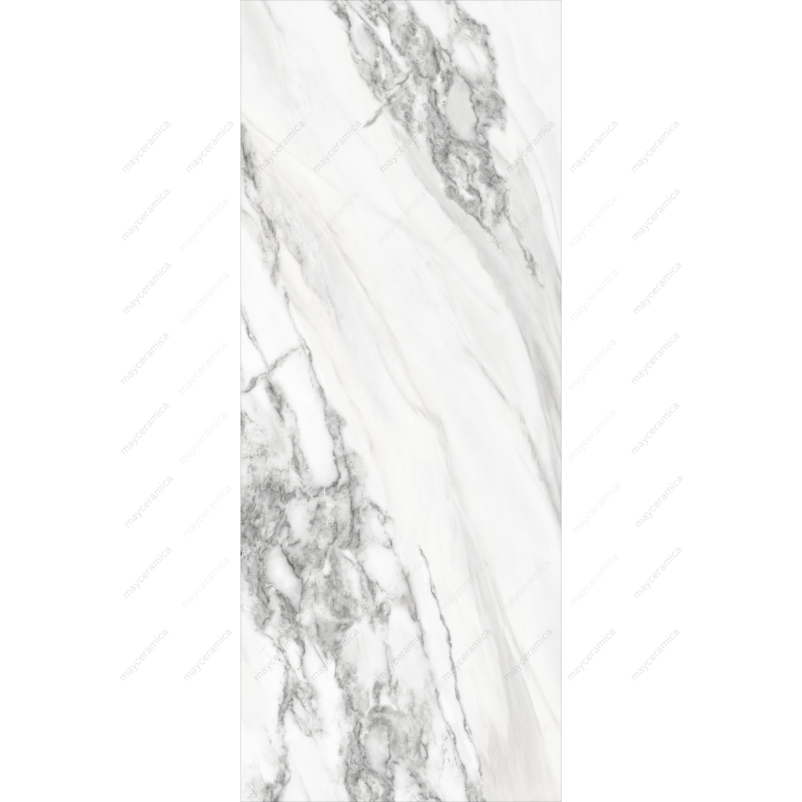 Veronic Arbesque2