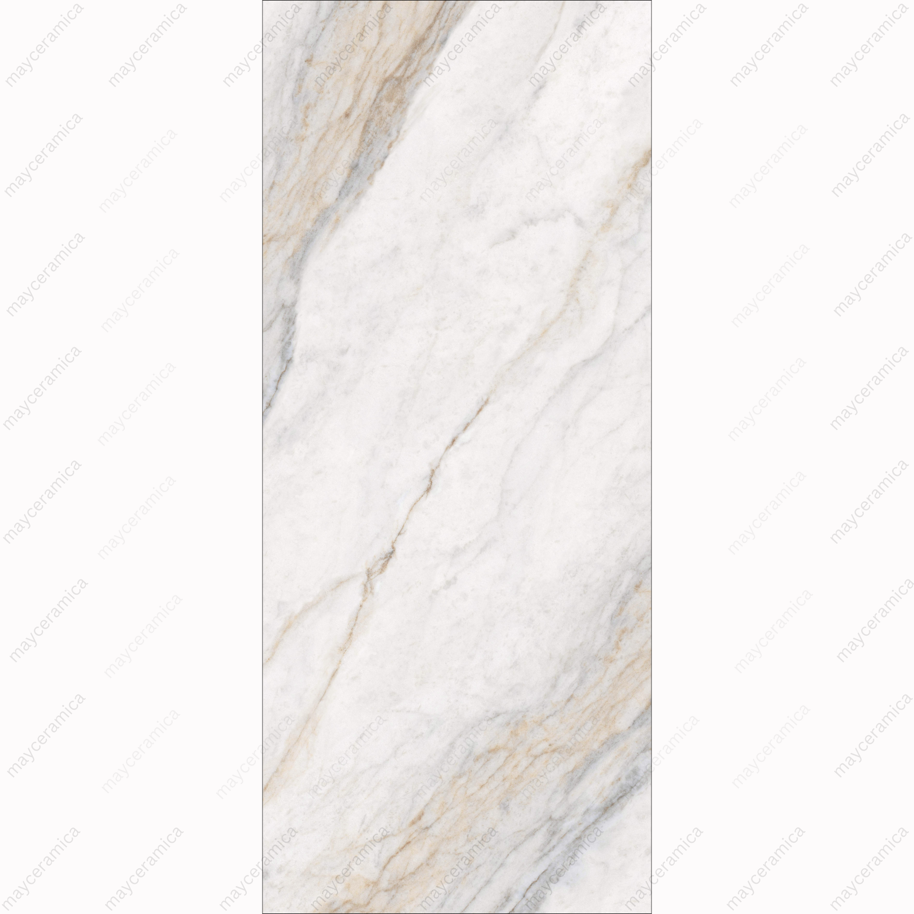 PLACIA BIANCO BOOK MATCH - Image 2