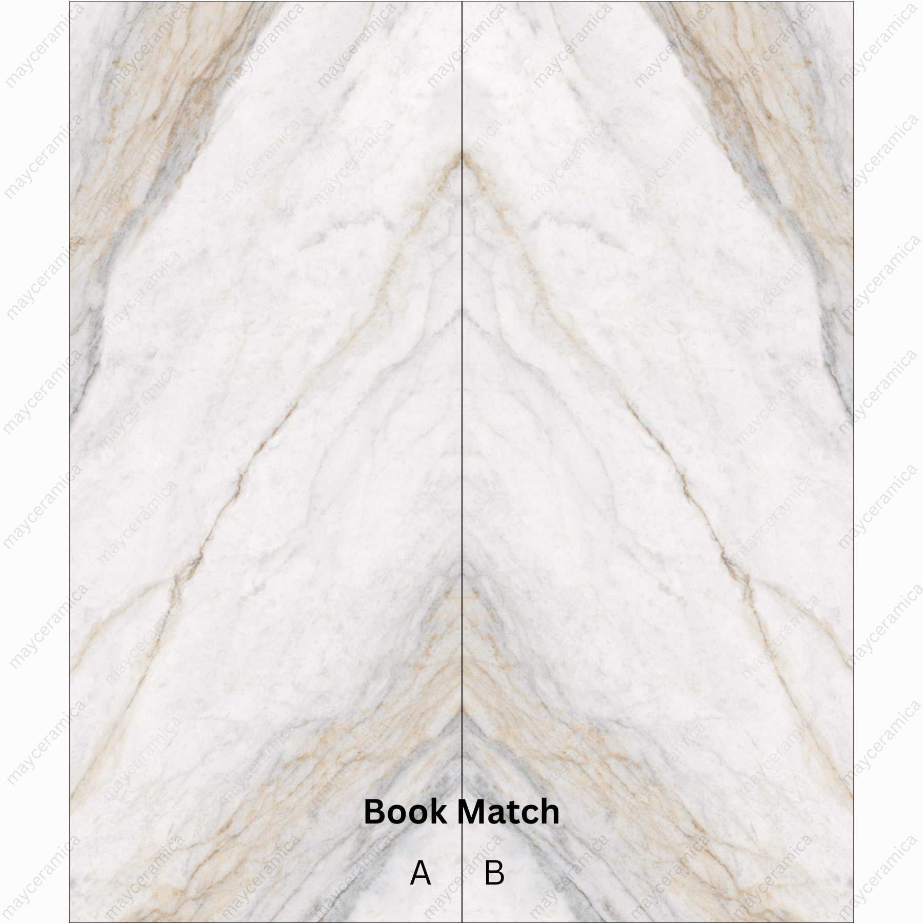 PLACIA BIANCO BOOK MATCH