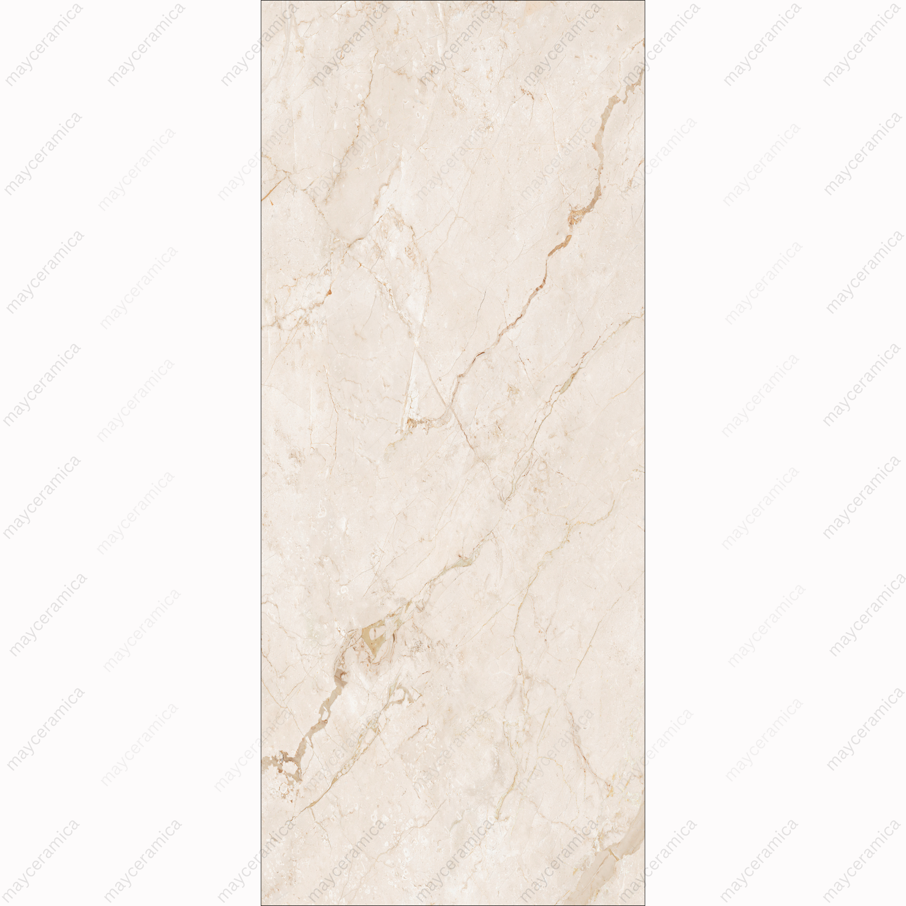 BRECCIA OYSTER BOOK MATCH - Image 3